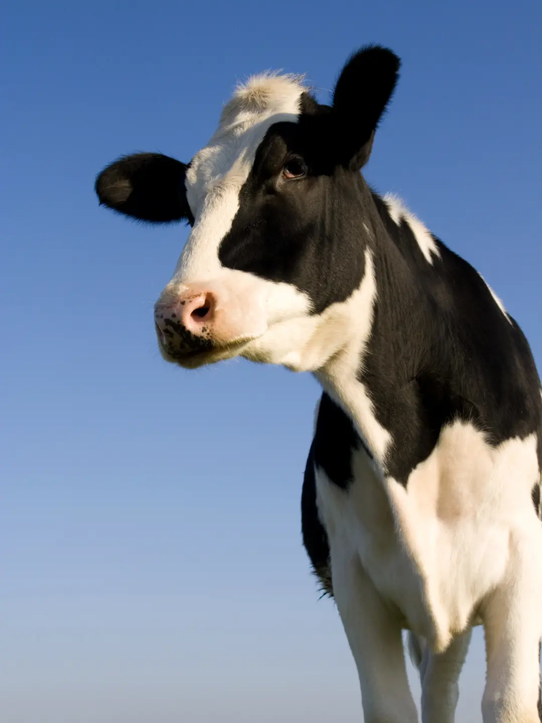 agri-innov